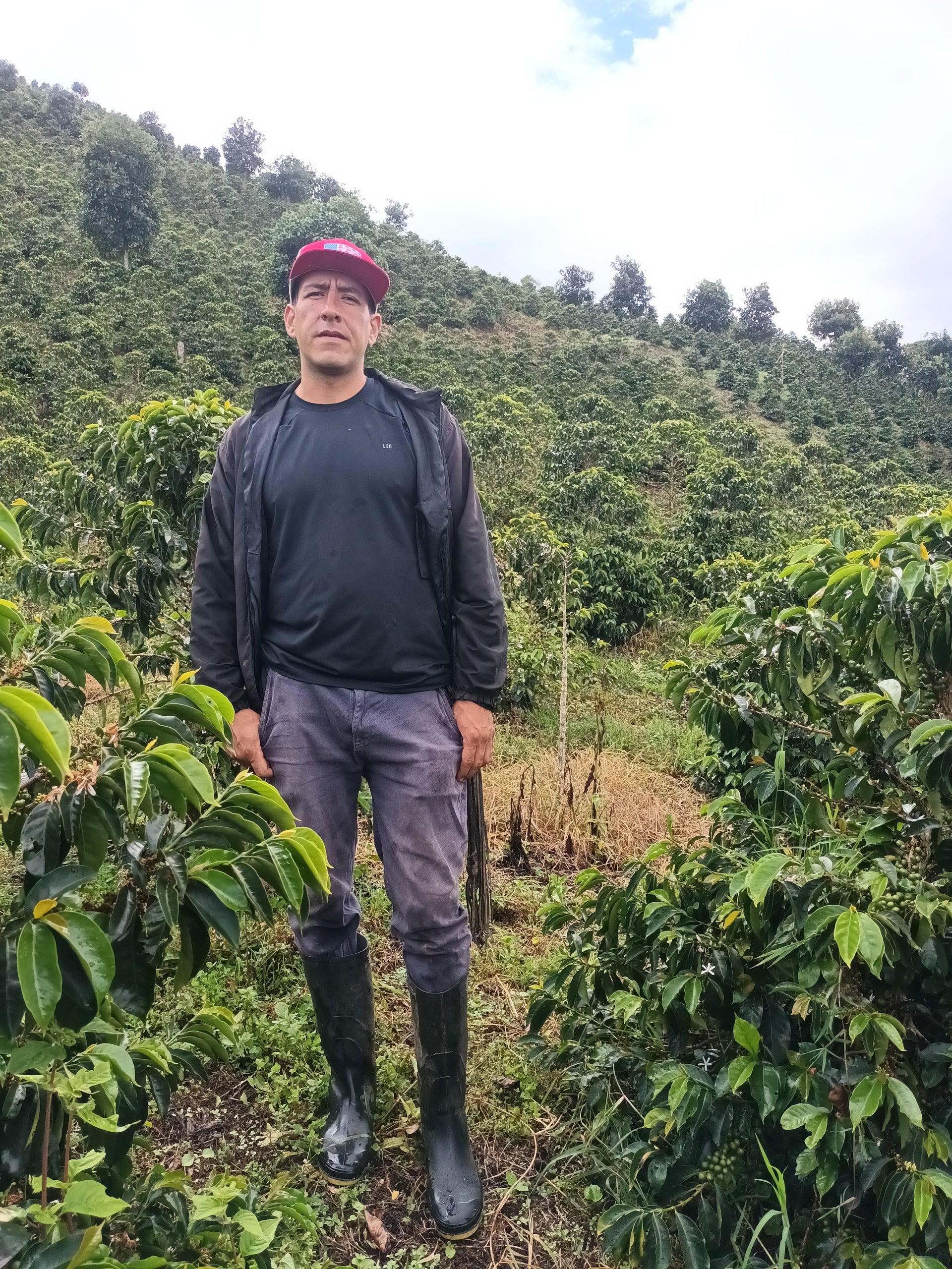 Meet Jhoan Dussan AAA, a beautifully structured and sparkling honey process Pink Bourbon