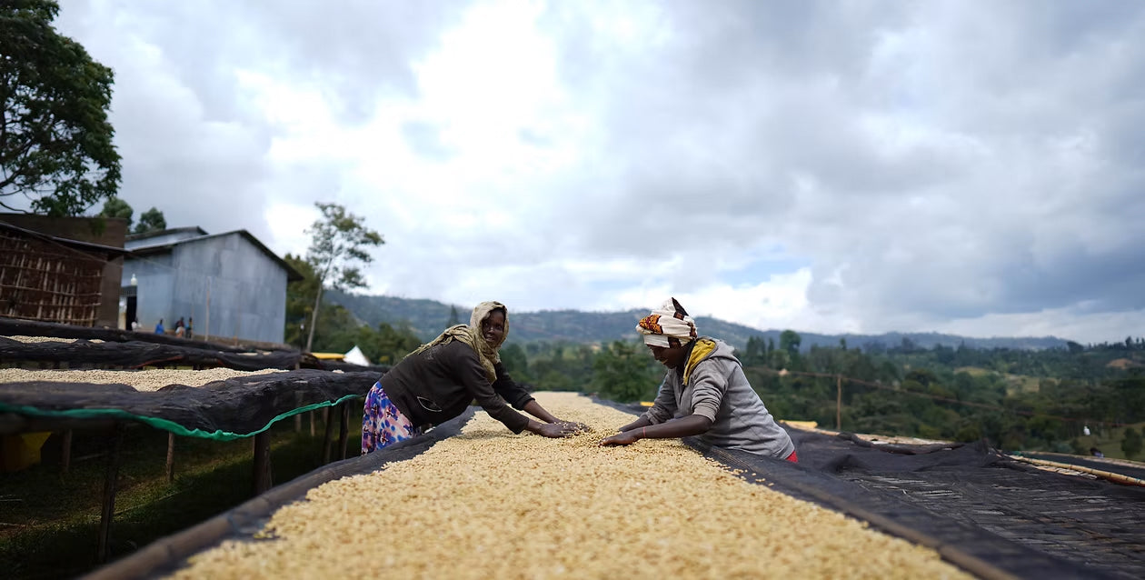 We're kick-starting 2026 with 'Seasonal Filter Natural'