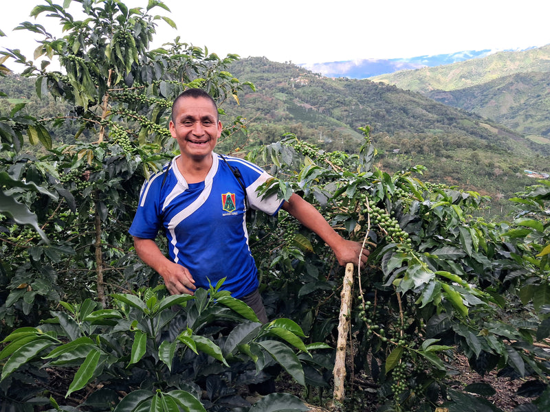 A community blend from the producers of La Danta, of San Ignacio and Jaen in Cajamarca, Peru