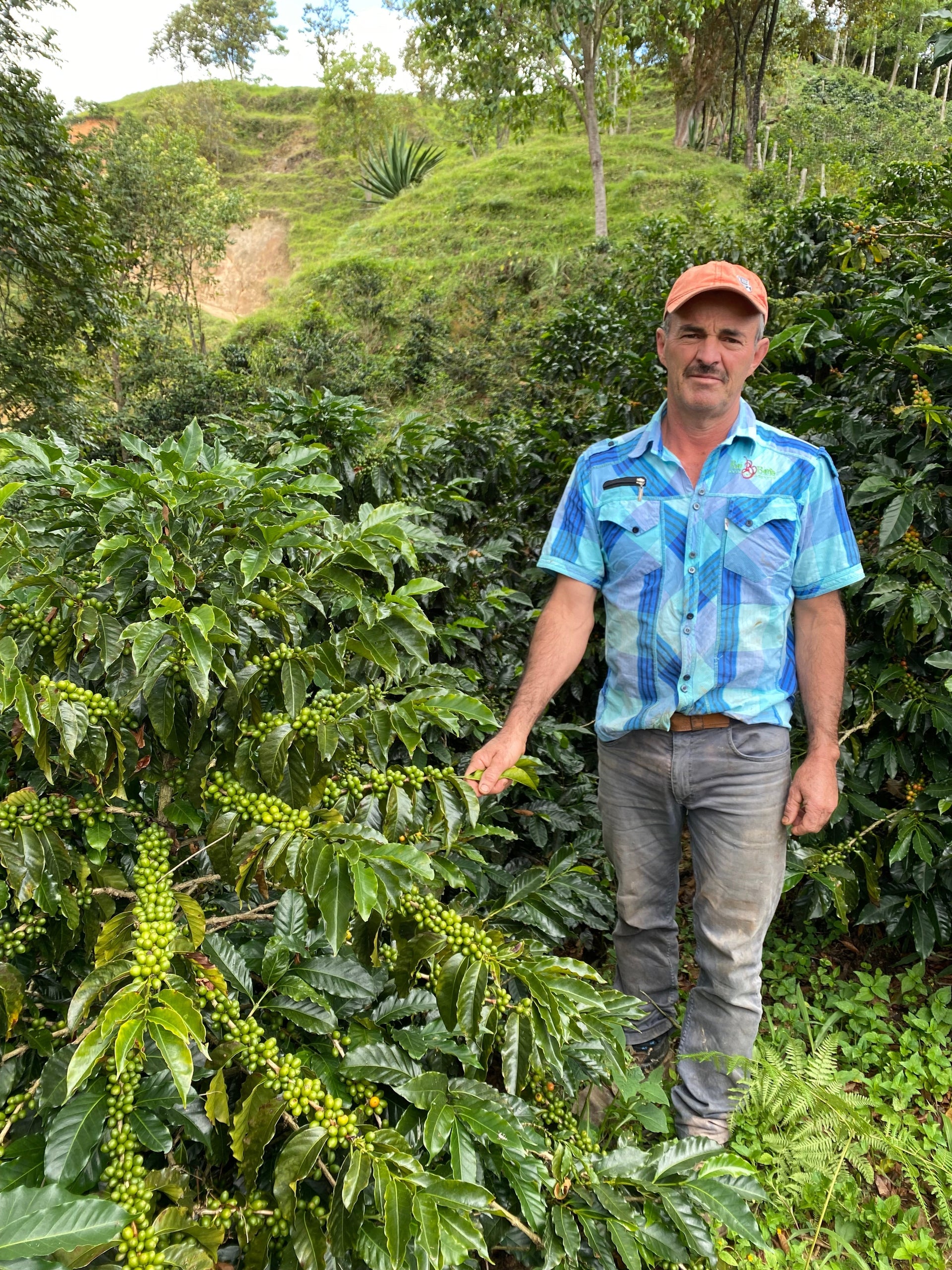 A new Colombia natural process coffee from the Small Producers of San Fermin