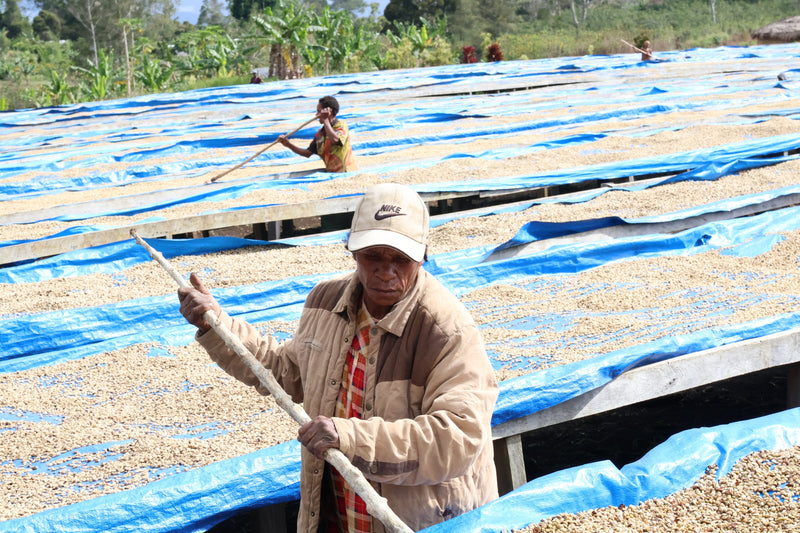 Our First Ever Coffee From Papua New Guinea