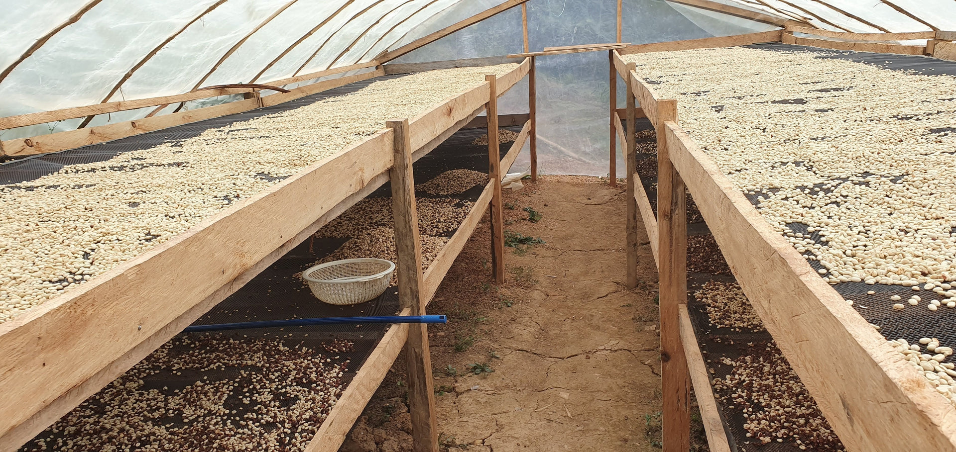 Meet Las Mishas: Our latest release from the Peruvian highlands of Jaen, Cajamarca