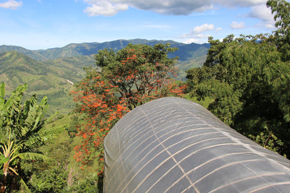 Small Producers of San Fermin - Natural - Colombia (Espresso Roast)