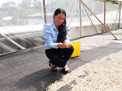 Gloria AAA - Washed - Colombia (Filter Roast)