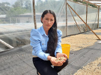 Gloria AAA - Washed - Colombia (Filter Roast)