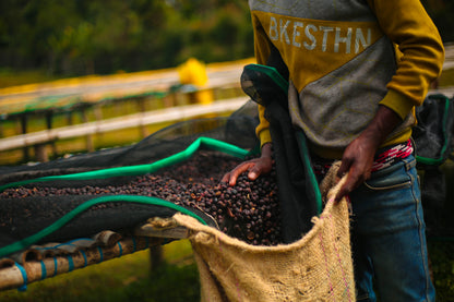 Mirado - Natural - Ethiopia (Espresso Roast)