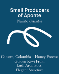 Aponte - Honey - Colombia (Filter Roast)