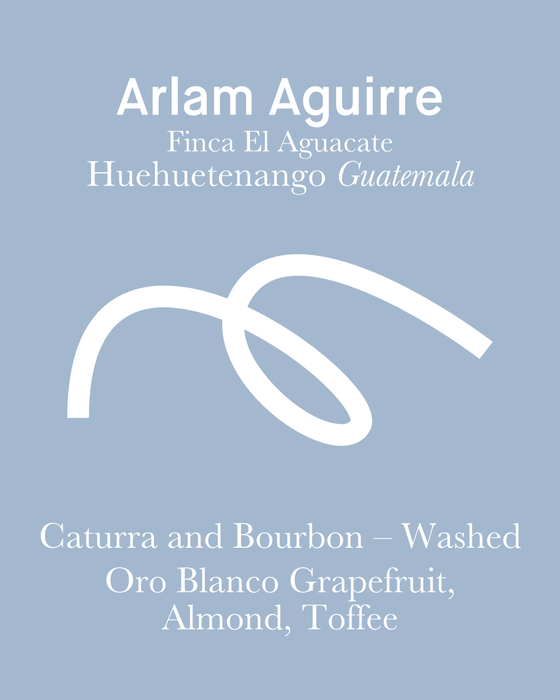 Arlam Aguirre - Washed - Guatemala (Espresso Roast)