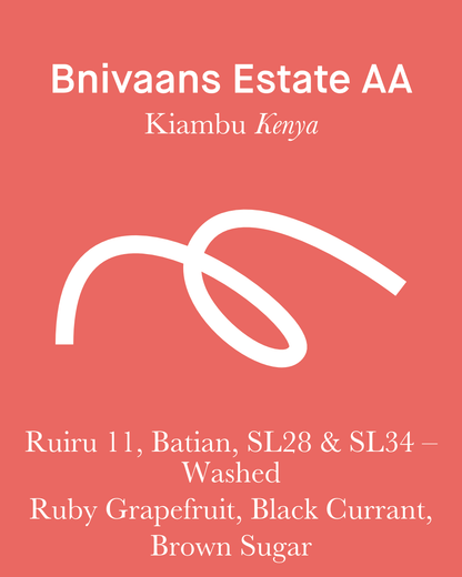 Bnivaans Estate AA - Washed - Kenya (Filter Roast)