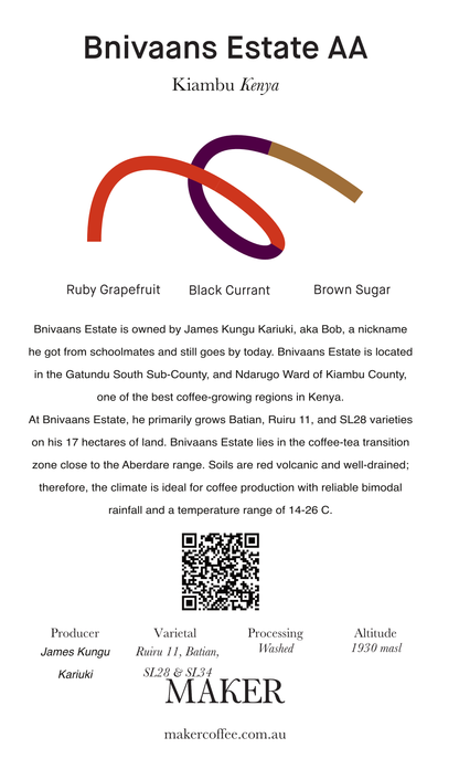 Bnivaans Estate AA - Washed - Kenya (Filter Roast)