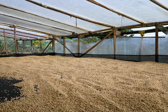 Decaf - Colombia (Espresso Roast)