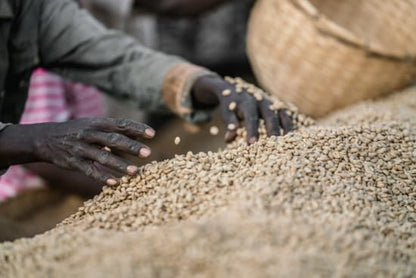 Chelchele - Washed - Ethiopia (Espresso Roast)