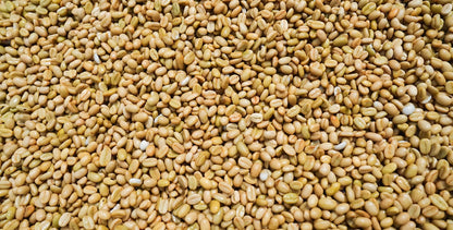 Seasonal Filter - Natural - (Filter Roast)