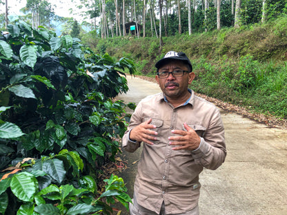 Frinsa Collective - Washed - Indonesia (Espresso Roast)