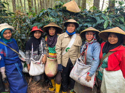 Frinsa Collective - Washed - Indonesia (Espresso Roast)