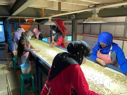 Frinsa Collective - Washed - Indonesia (Espresso Roast)