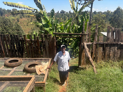 Bnivaans Estate AA - Washed - Kenya (Filter Roast)