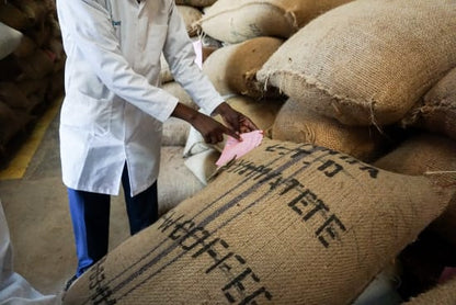 Karimikui AA - Washed - Kenya (Filter Roast)