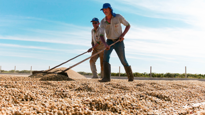Serra da Canastra - Natural - Brazil (Espresso Roast)