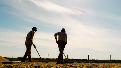 Serra da Canastra - Natural - Brazil (Espresso Roast)