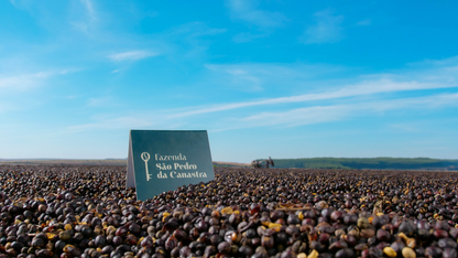 Serra da Canastra - Natural - Brazil (Espresso Roast)