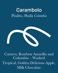 Carambolo - Washed - Colombia (Espresso Roast)