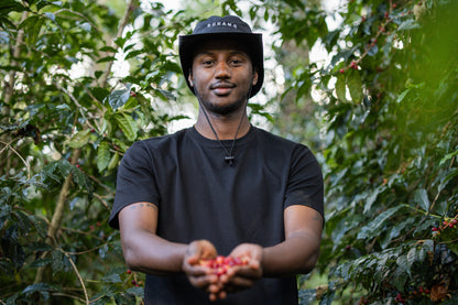 Mirado - Natural - Ethiopia (Espresso Roast)