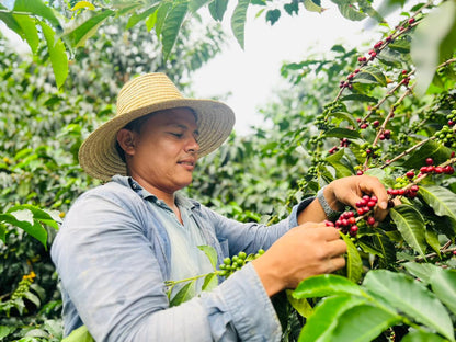 Small Producers of San Fermin - Natural - Colombia (Espresso Roast)