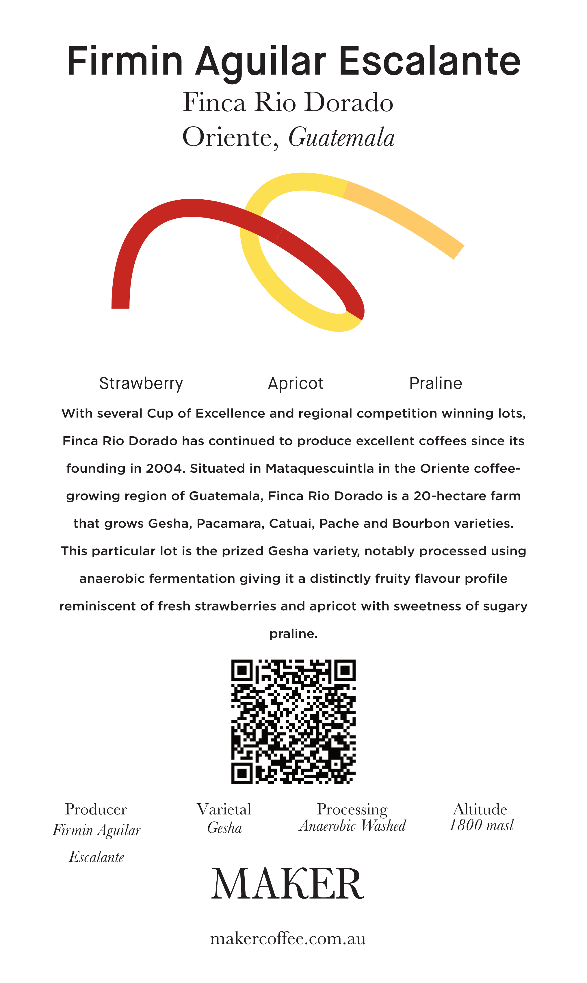 Select Series 2025 - Firmin Aguilar Escalante - Gesha - Anaerobic Washed -  100g - Tin