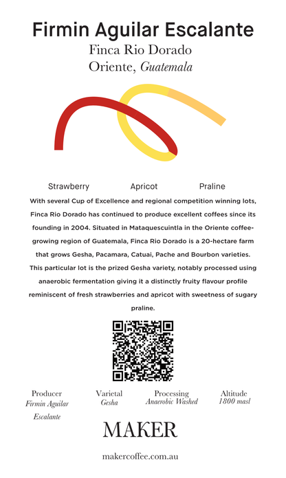 Select Series 2025 - Firmin Aguilar Escalante - Gesha - Anaerobic Washed -  100g - Tin