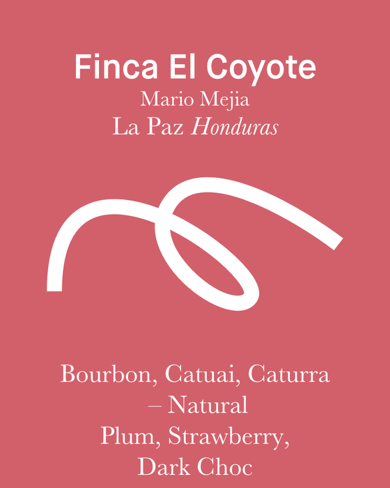 Finca El Coyote- Natural - Honduras (Espresso Roast)