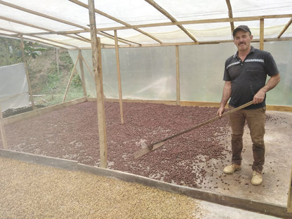 Seasonal Filter - Natural - (Filter Roast)