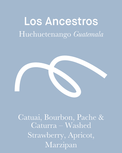 Los Ancestros - Washed - Guatemala (Espresso Roast)