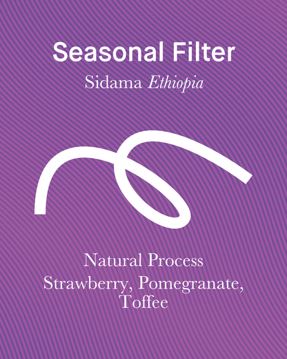 Seasonal Filter - Natural - (Filter Roast)