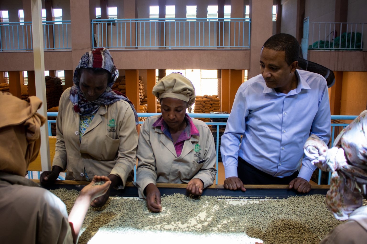 PRE ORDER - Select Series 2025 - Huke - Premium Cherry Selection - Kurume & Wolisho, Natural - Ethiopia 100g - Tin