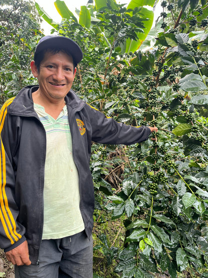 La Danta Producers - Washed - Peru (Filter Roast)