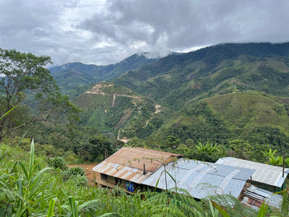 La Danta Producers - Washed - Peru (Filter Roast)