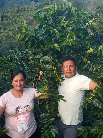 La Danta Producers - Washed - Peru (Filter Roast)