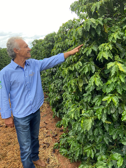 Danilo Barbosa - Natural - Brazil (Espresso Roast)