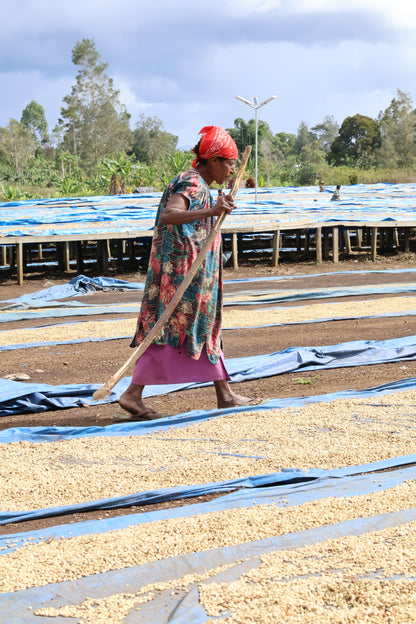 AM Kwongi - Washed - Papua New Guinea (Espresso Roast)