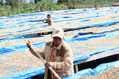 AM Kwongi - Washed - Papua New Guinea (Espresso Roast)