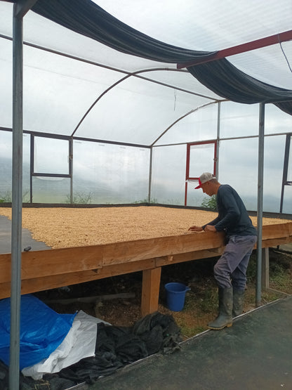 Jhoan Dussan AAA - Honey - Colombia (Filter Roast)