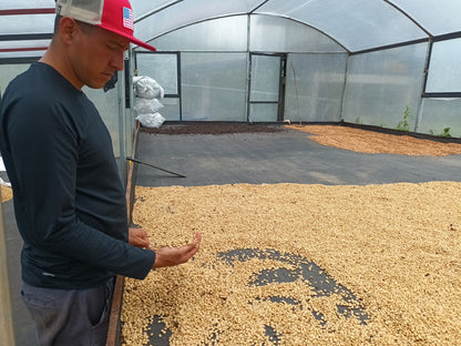Jhoan Dussan AAA - Honey - Colombia (Filter Roast)