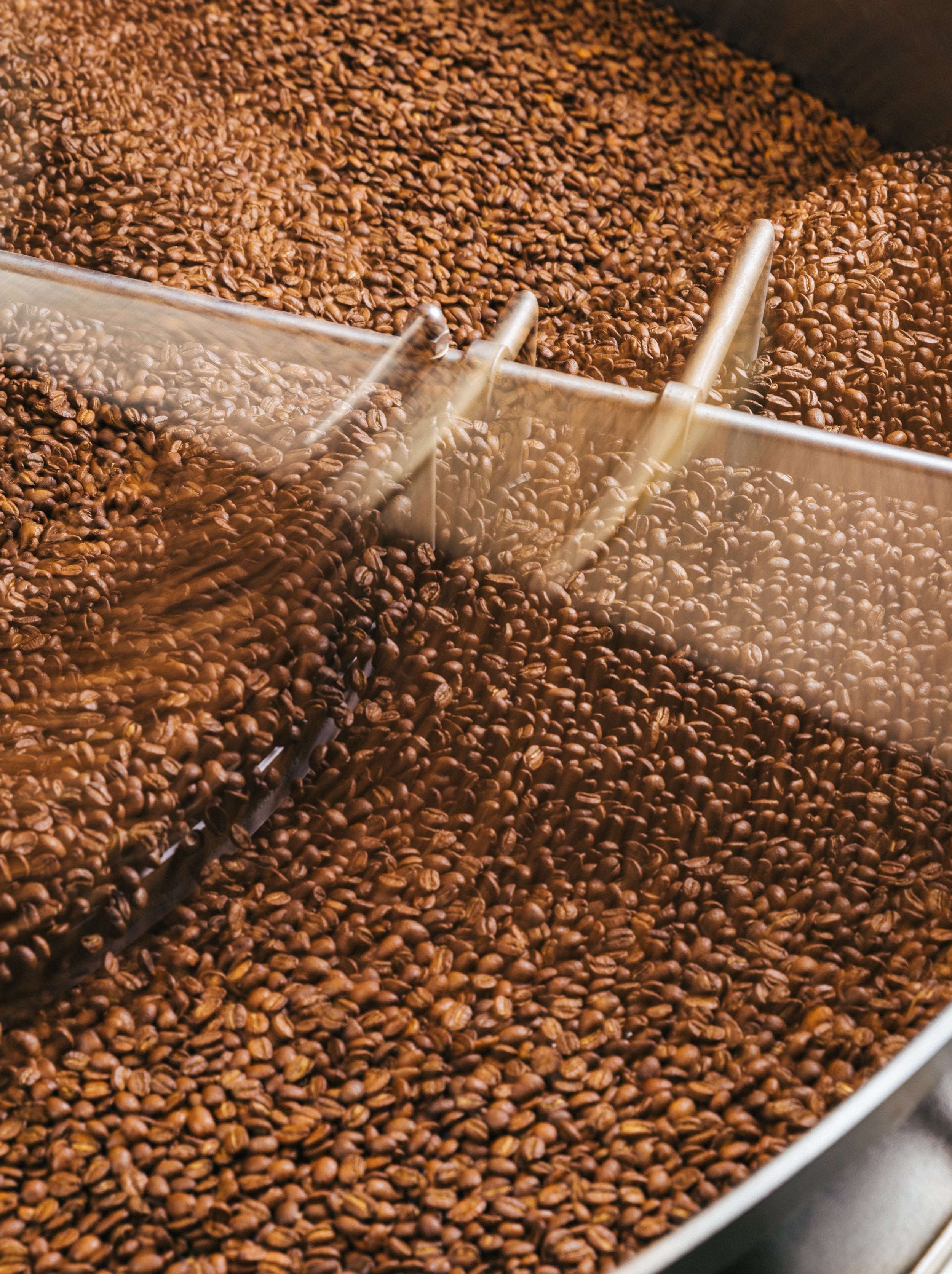 Roasters Choice - Espresso Subscription