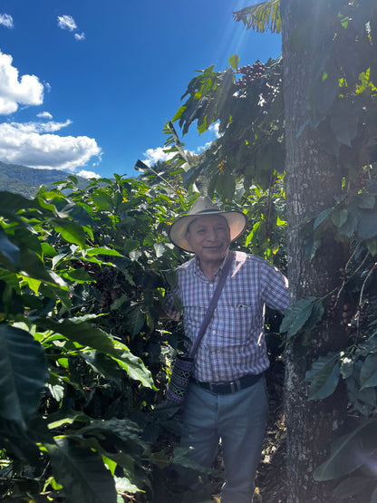Los Ancestros - Washed - Guatemala (Espresso Roast)