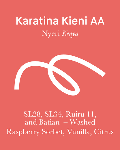 Karatina Kieni AA - Washed - Kenya (Filter Roast)