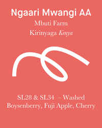 Ngaari Mwangi AA - Washed - Kenya (Filter Roast)