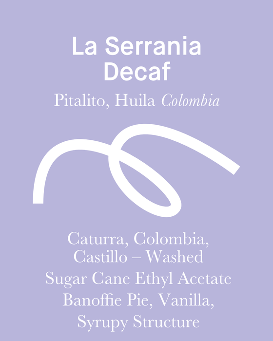 Decaf - Washed - Colombia (Filter Roast)