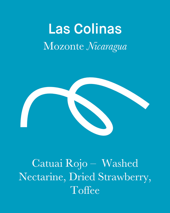 Las Colinas AAA - Washed - Nicaragua (Espresso Roast)