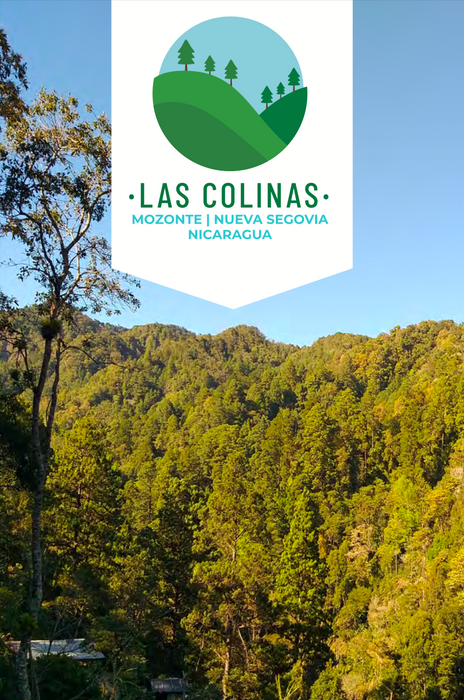 Las Colinas AAA - Washed - Nicaragua (Filter Roast)